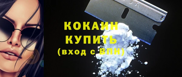 дурь Инсар