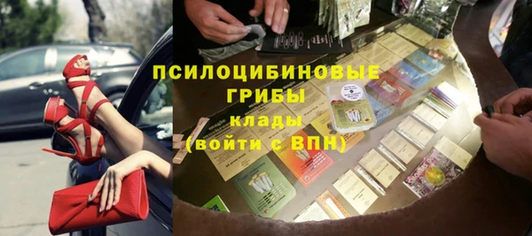 ГАЛЛЮЦИНОГЕННЫЕ ГРИБЫ Зеленокумск