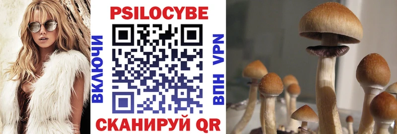 Псилоцибиновые грибы Psilocybe  продажа наркотиков  MEGA как зайти  Истра 