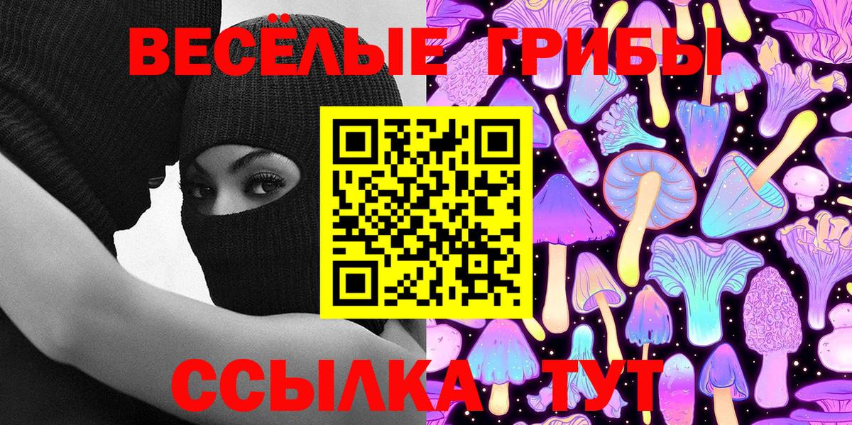 Псилоцибиновые грибы Cubensis Истра
