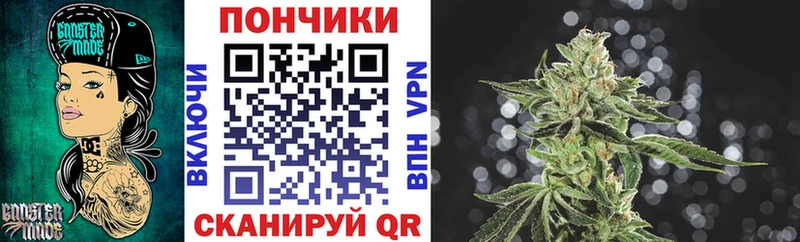 Бошки марихуана Amnesia  Истра 